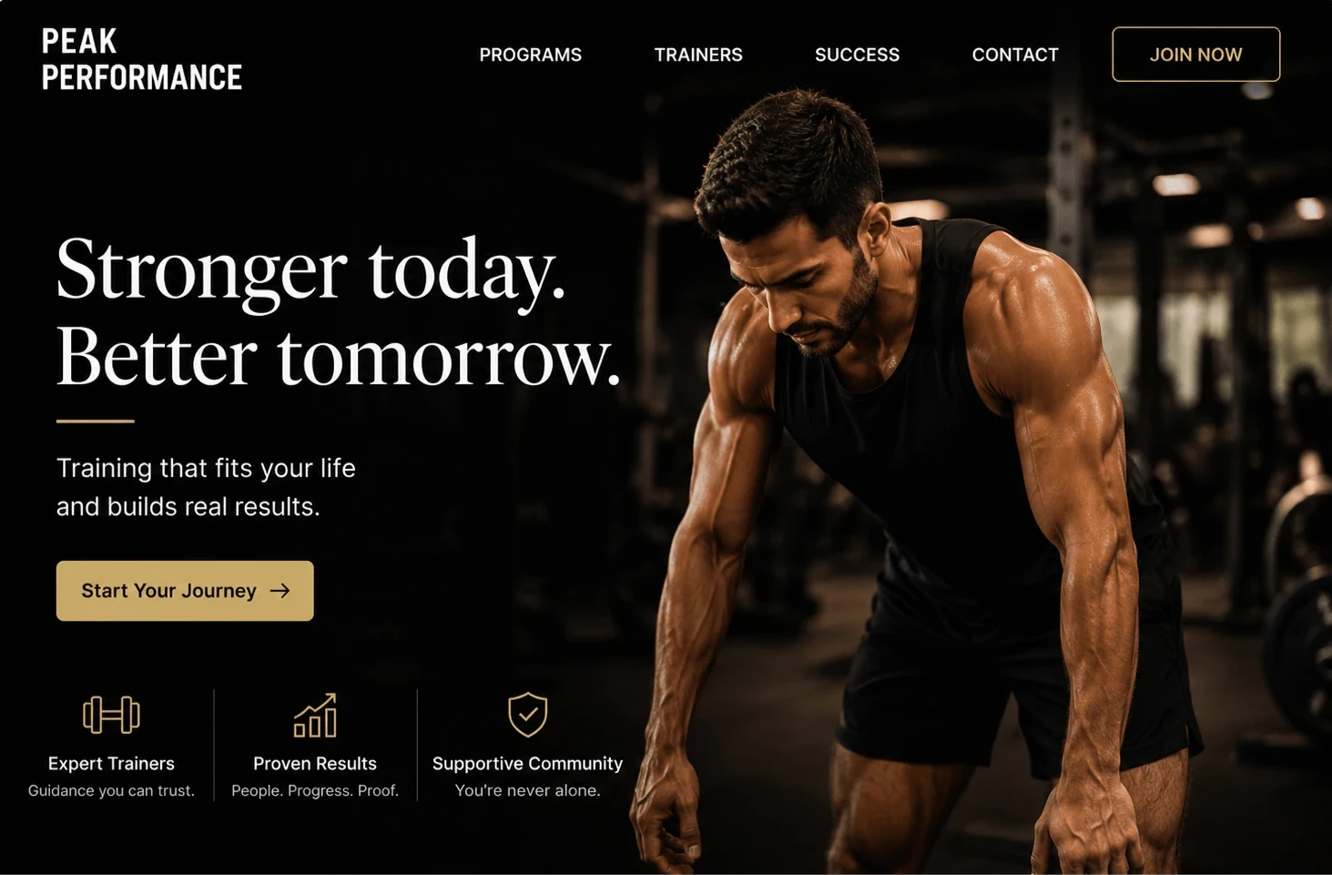 Peak Performance Gym Website Proof