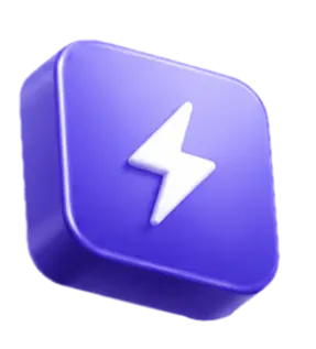 Flash Asset